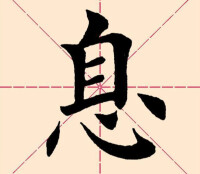 田字格中的“息”字