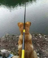 釣魚