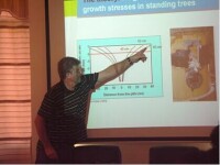 Russell Washusen 博士分析“木材據解“”