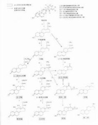 類固醇激素