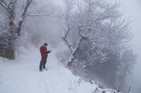 秦嶺終南山蘭強戶外寫生