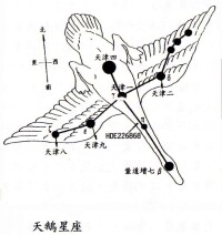 天鵝星座圖示