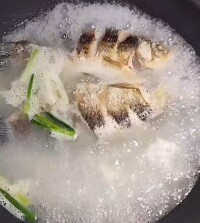 鯽魚燉豆腐