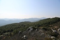 水溝村[雲南省曲靖市陸良縣活水鄉水溝村]