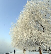 冬季松花江畔的吉林霧凇