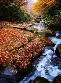 光霧山紅葉