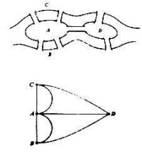 網路科學