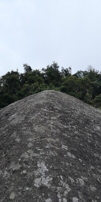 黎母山國家森林公園