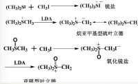 硫葉立德