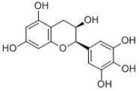 表沒食子兒茶素