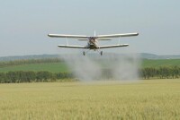 飛機進行農作物噴葯作業