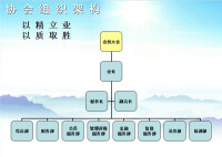 中國註冊會計師協會結構結構