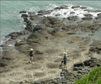 邊緣海圖片集萃