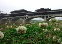 廣元景觀廊橋