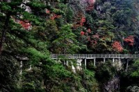 《杜鵑山》[風景區]