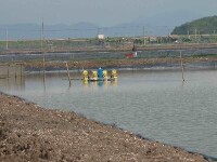 海水養殖池塘