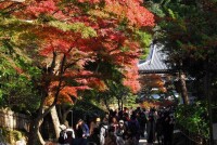 圓覺寺[日本鎌倉市圓覺寺]