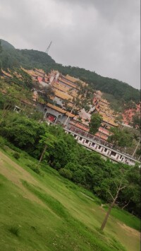 大嶺山森林公園