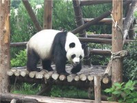 梅蘭芳先生曾在中山公園動物園留影