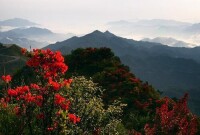 天台山國家森林公園[漳平天台山國家森林公園]