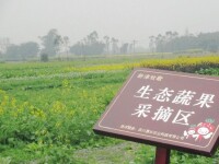 田園牧歌[田園牧歌范圖]