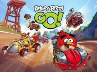 ANGRY BIRDS GO!