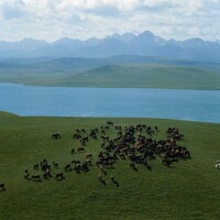 內蒙古高原