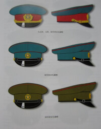 中國人民解放軍55式軍銜服飾