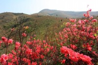 木蘭山登山節