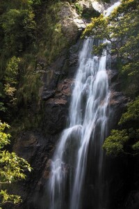 神龍飛瀑