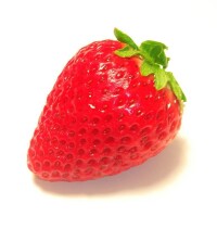 草莓苗