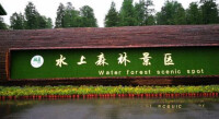 李中水上森林公園
