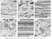 圖6 熱軋後退火或不退火條件下的組織演變(縱截面)