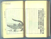 書影