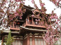 西安青龍寺遺址博物館