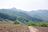 白雲山