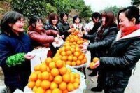 二級公路邊銷售柑橘