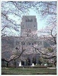 東京帝國大學