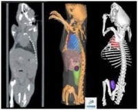 Micro-CT腫瘤研究