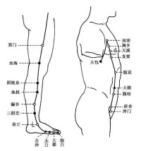 足太陰絡脈