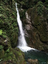 青城山[世界文化遺產，國家5A級旅遊景區]