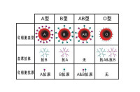 ABO血型系統