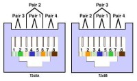 ANSI/EIA/TIA-568A、ANSI/EIA/TIA-568B