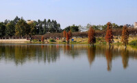 蘿崗香雪公園內景