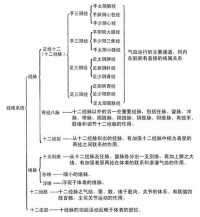 經絡系統