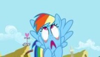為了使 Royal Guards 發笑，Rainbow Dash 在做鬼臉。