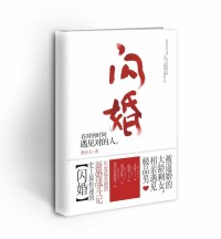 閃婚[酒小七小說作品《閃婚》]