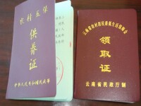 （圖）五保戶、低保戶證書 