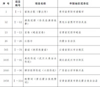 國家級非物質文化遺產