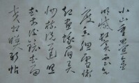 草書《菩薩蠻·小山重疊金明滅》